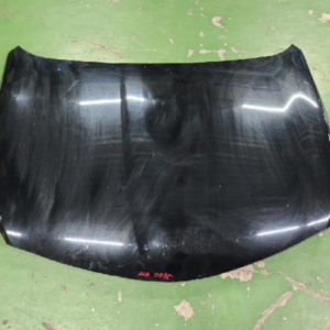 Hoods (Hyundai Grandeur Hybrid 2017)