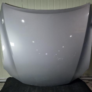 Hoods (Lexus IS250 2007)