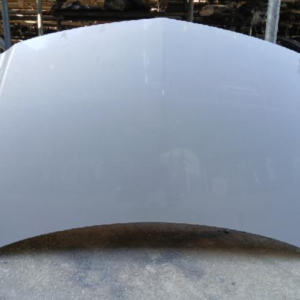 Hoods (Benz B220 CDI 2013)