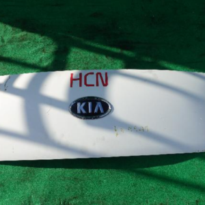 Hoods (KIA Bongo3 Truck 2007)