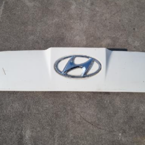 Hoods (Hyundai Porter2 2012)