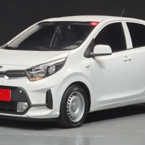 small car (kia Morning van 2021)