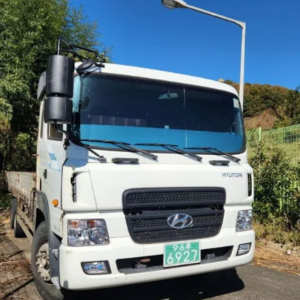 Hyundai New Power Truck 9.5 Tons 2005